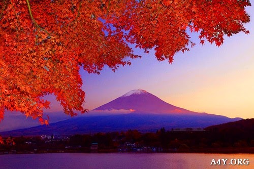 Hình ảnh ngọn núi Phú Sĩ đẹp tuyệt vào mùa Thu