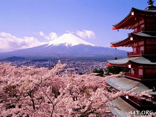 Hình ảnh núi Phú Sĩ ở xứ sở Phù Tang