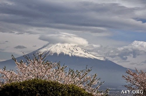 Hình ảnh ngọn núi Phú Sĩ chạm vào vùng mây trắng tuyệt đẹp