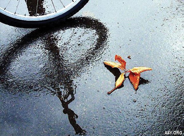 đạp xe trên con đường mưa