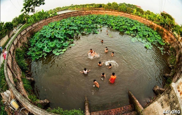 trẻ em tắm dưới giếng làng