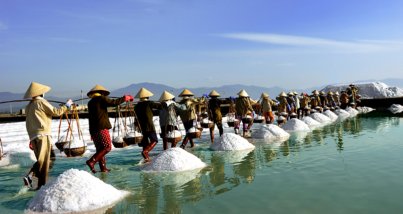 nông dân làm muối ở Bình Thuận